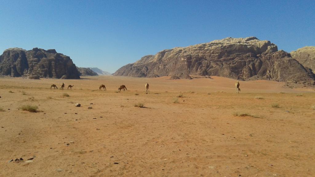 Wadi Rum Beduland Camp Экстерьер фото