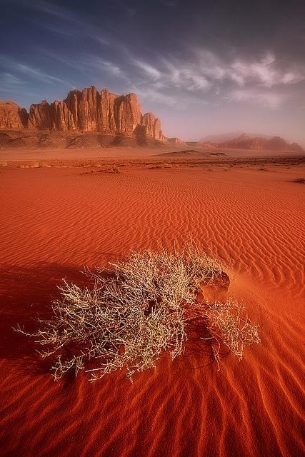 Wadi Rum Beduland Camp Экстерьер фото