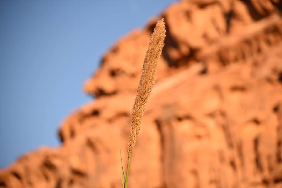 Wadi Rum Beduland Camp Экстерьер фото